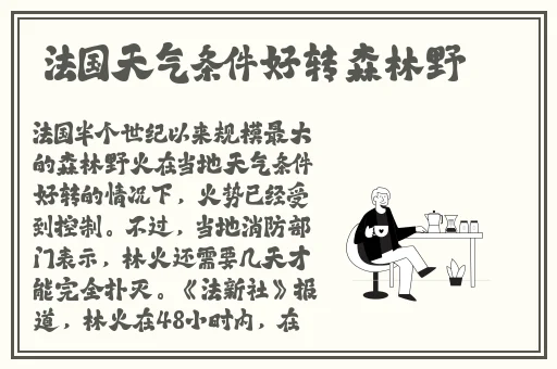 亚洲精品中文字幕久久久久下载